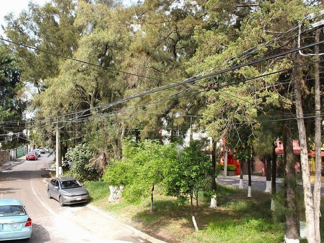 place photo 48