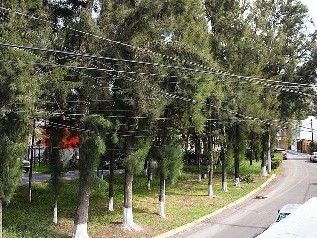 place photo 47