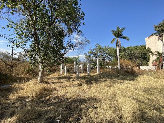 place photo 22