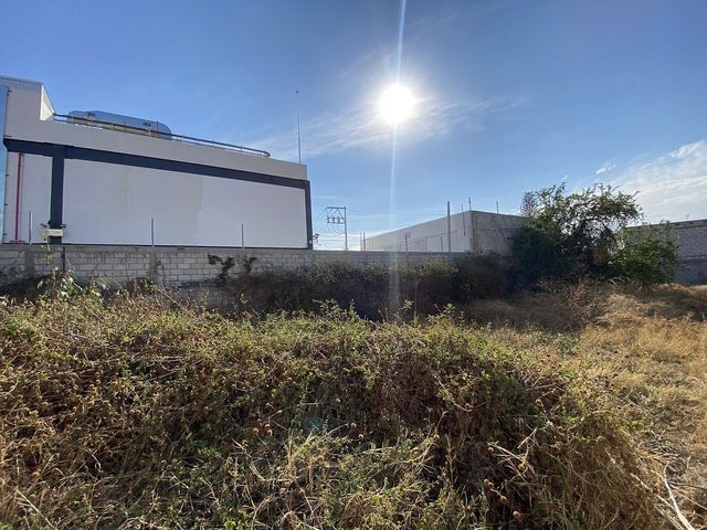 place photo 10