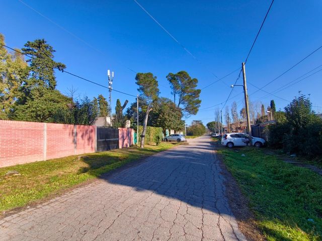 place photo 40