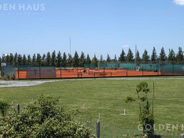 place photo 38