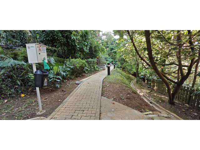 place photo 51