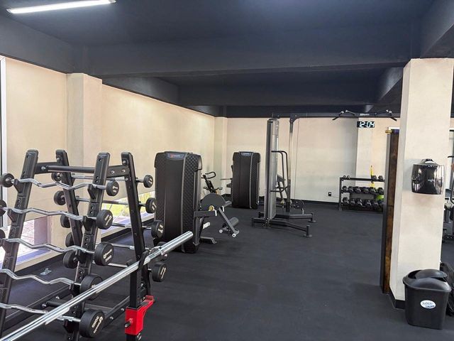 place photo 28