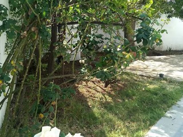 place photo 32