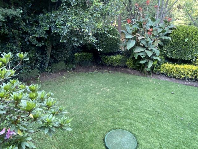 place photo 33