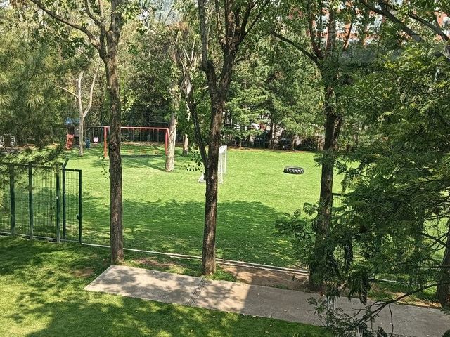 place photo 47