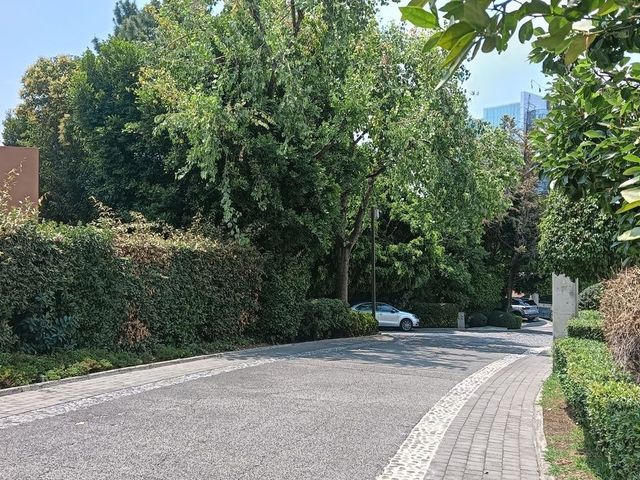 place photo 42