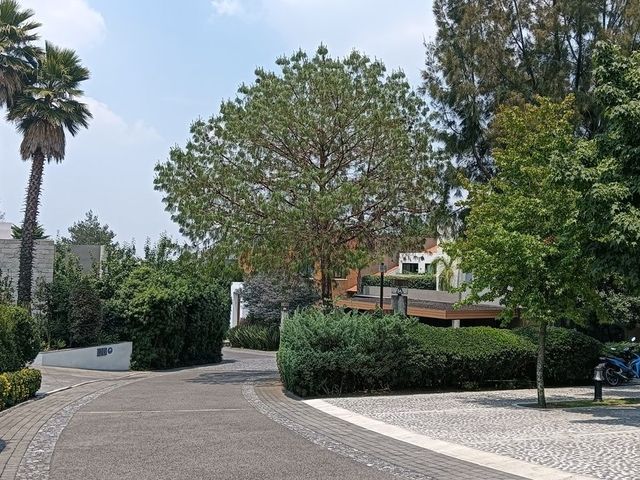 place photo 41