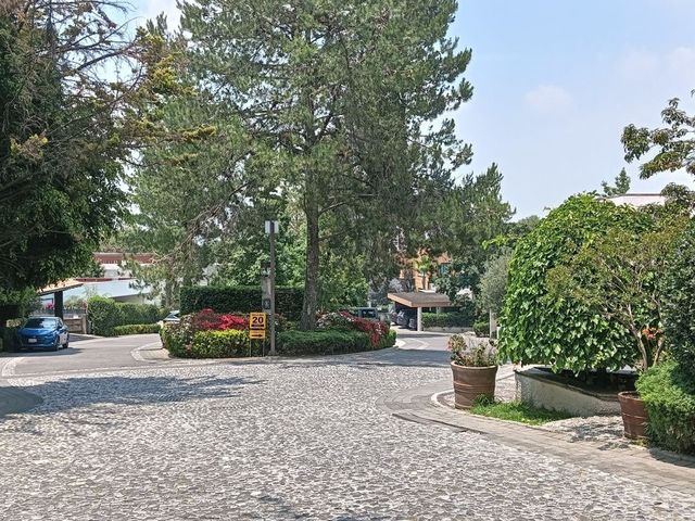 place photo 43