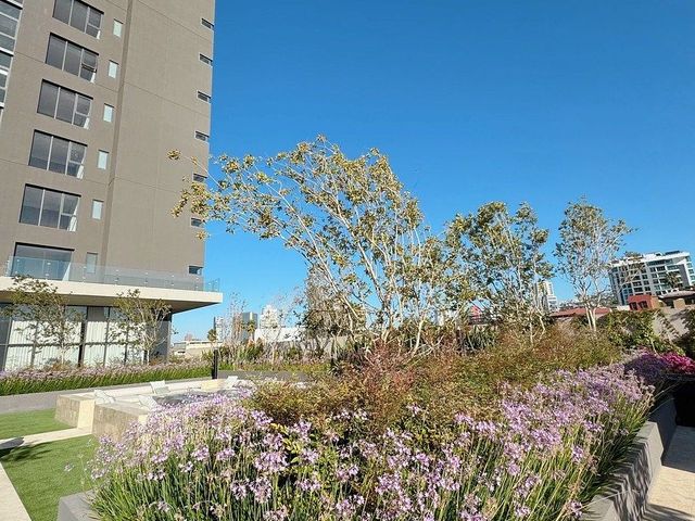 place photo 36