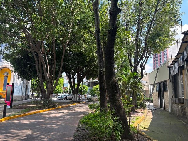 place photo 34