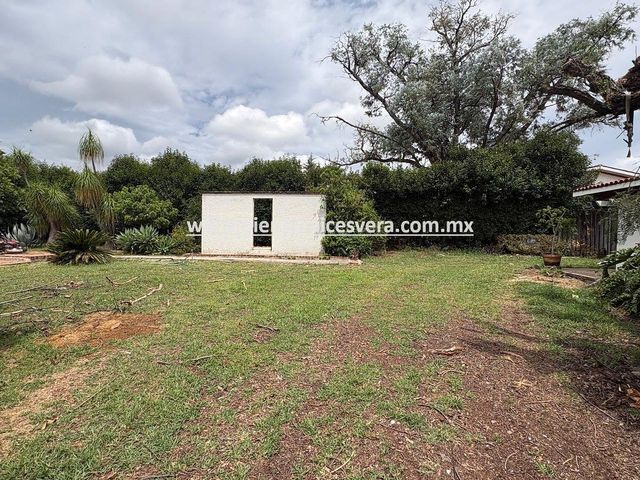 place photo 45