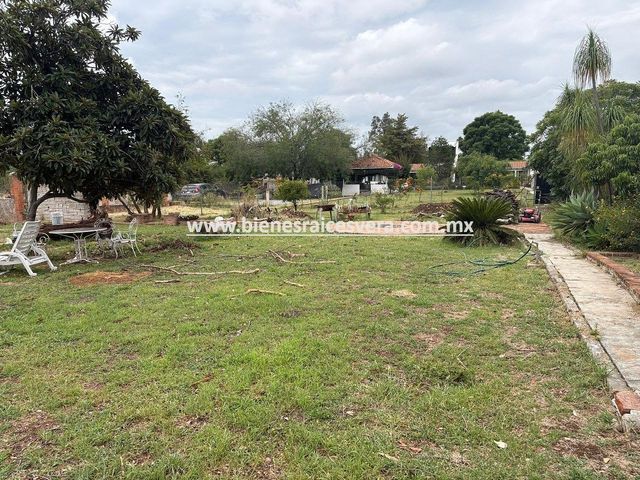 place photo 39