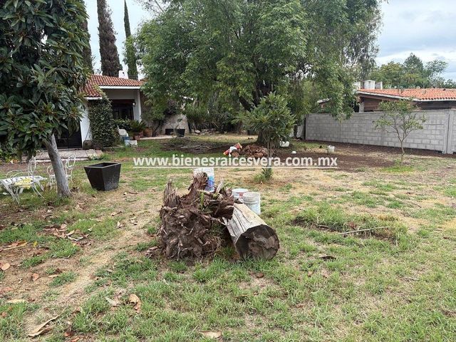 place photo 42