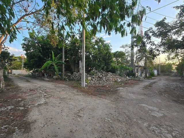 place photo 8
