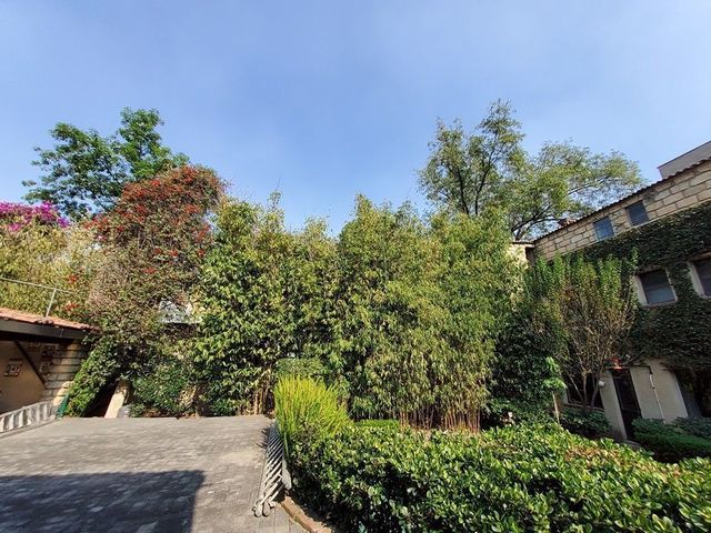 place photo 47