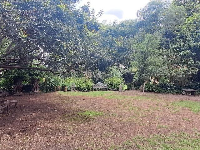 place photo 33