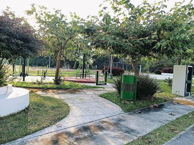 place photo 12