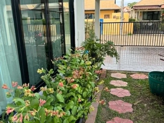 place photo 18