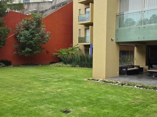 place photo 37