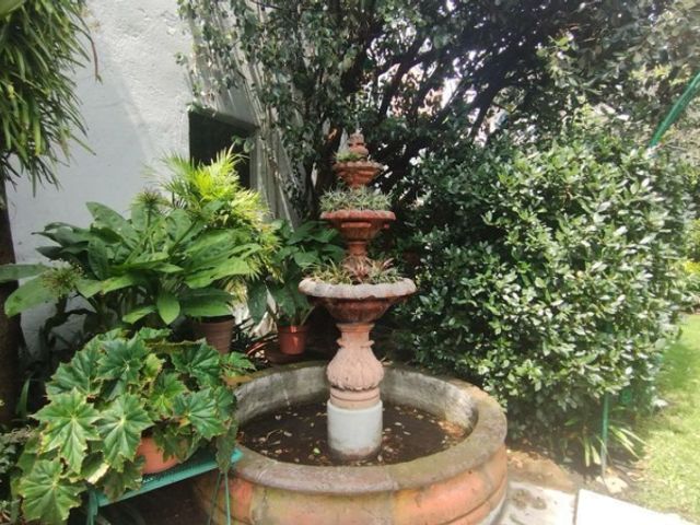 place photo 39