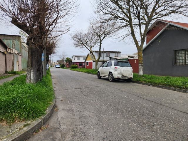 place photo 18