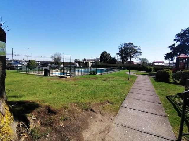 place photo 16