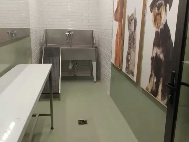 place photo 9