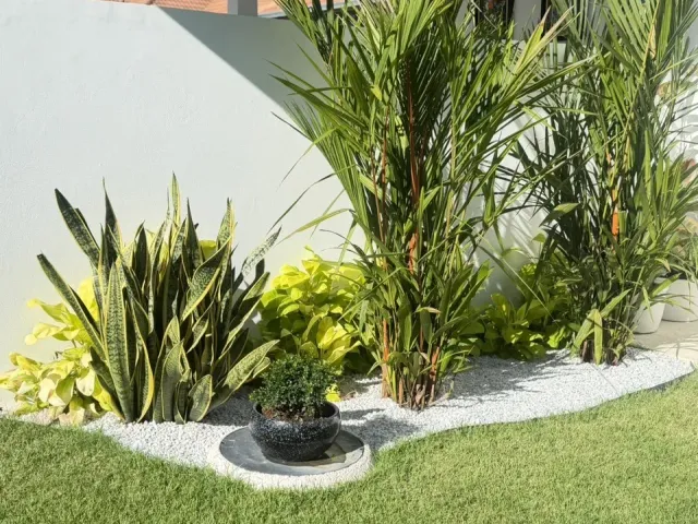 place photo 76