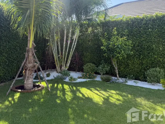 place photo 74
