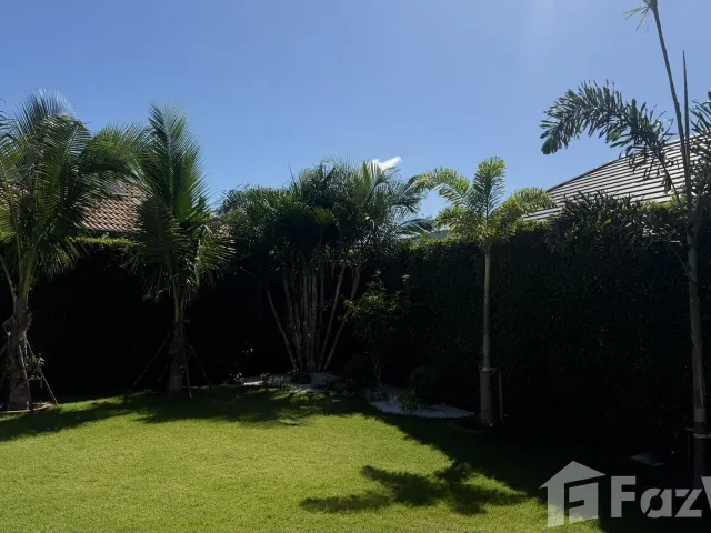 place photo 40