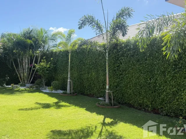 place photo 35