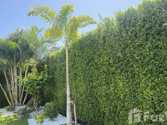 place photo 36