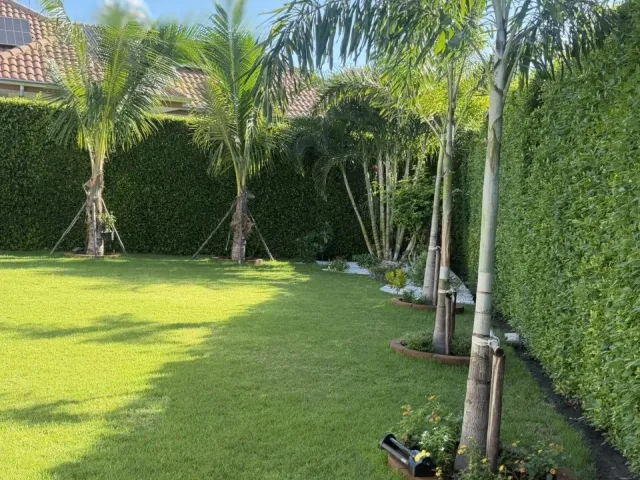 place photo 80