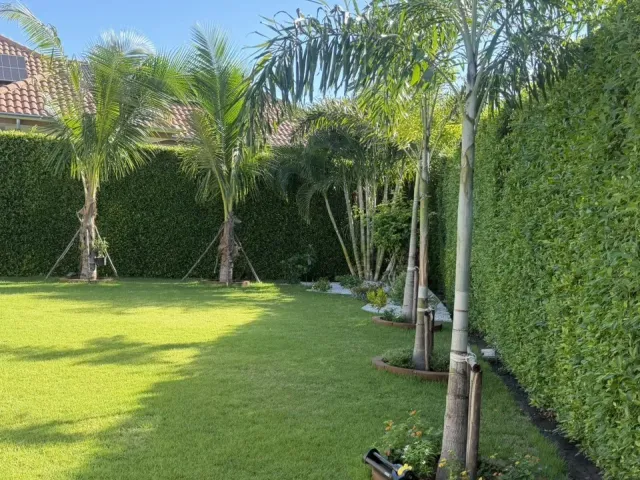 place photo 81