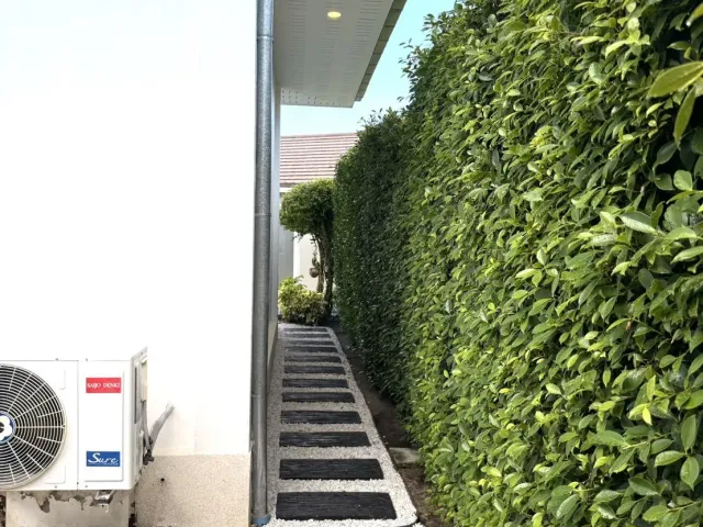 place photo 66