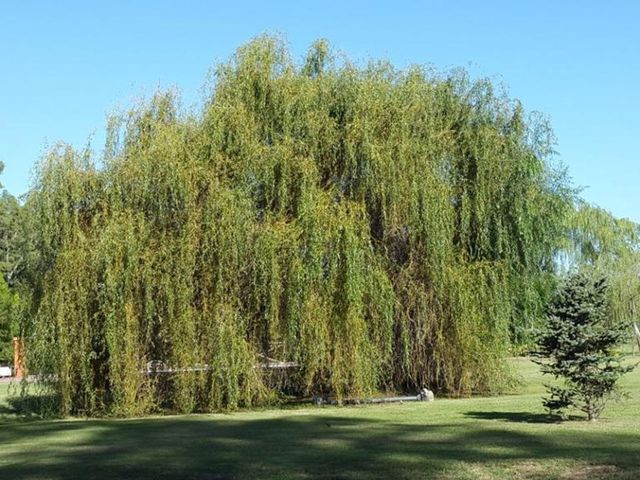 place photo 17