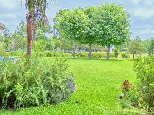 place photo 43