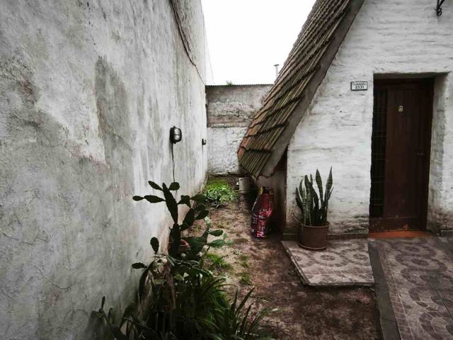 place photo 38