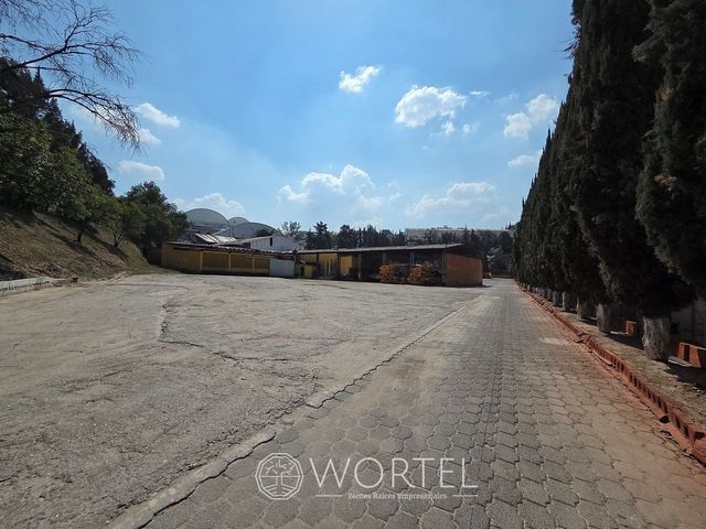 place photo 20
