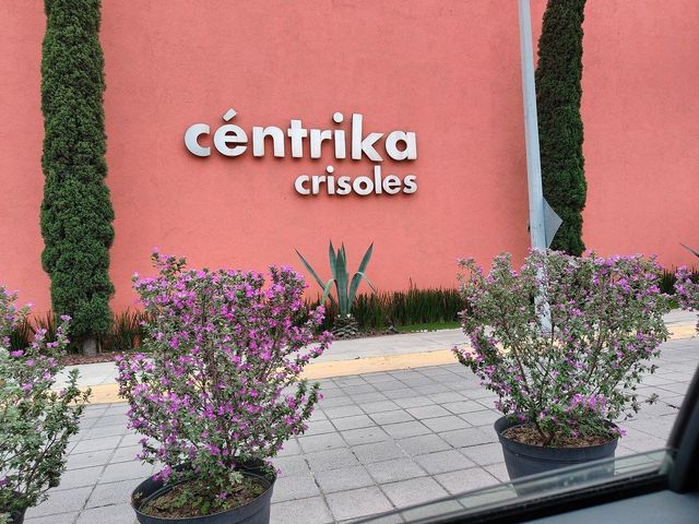 place photo 19