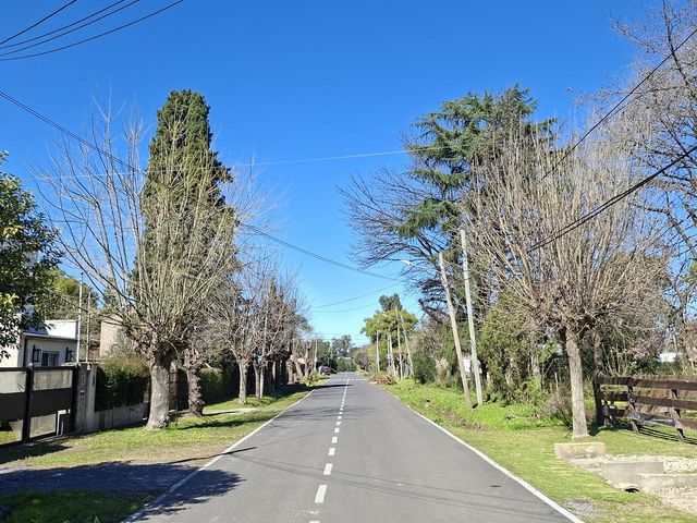 place photo 15