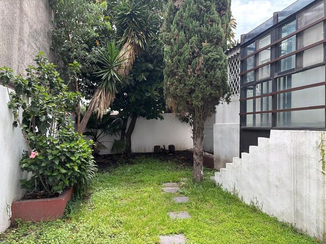place photo 42
