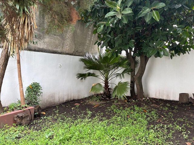 place photo 46