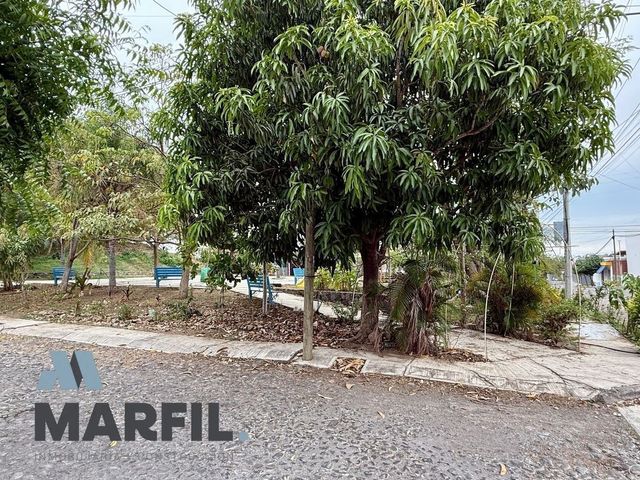 place photo 24