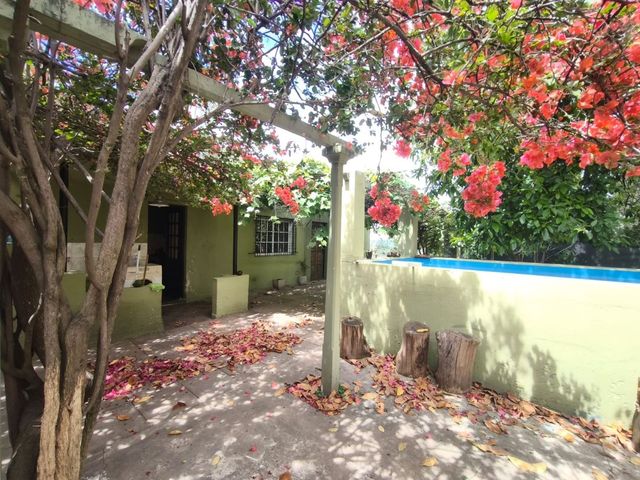 place photo 38