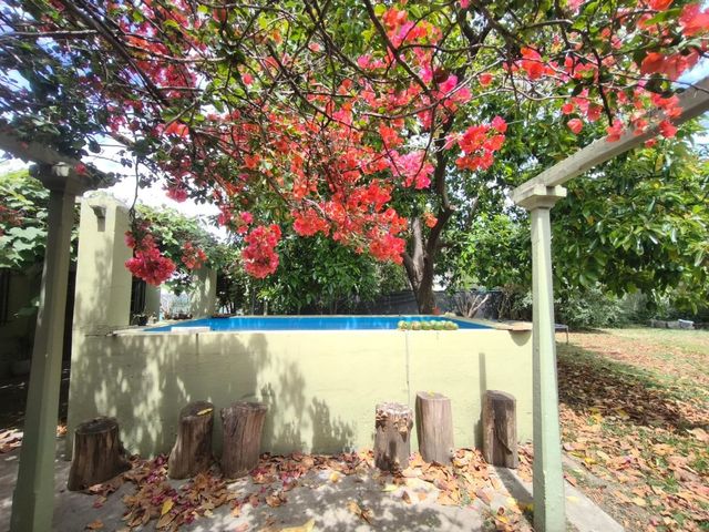 place photo 37