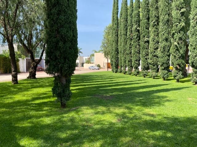 place photo 29