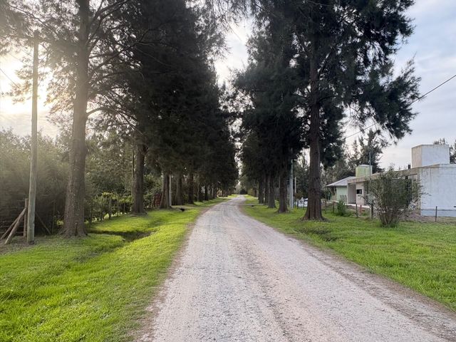 place photo 21